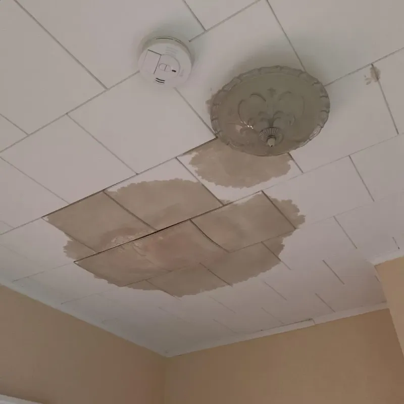 Ceiling Water Damage Repair in North College Hill, OH