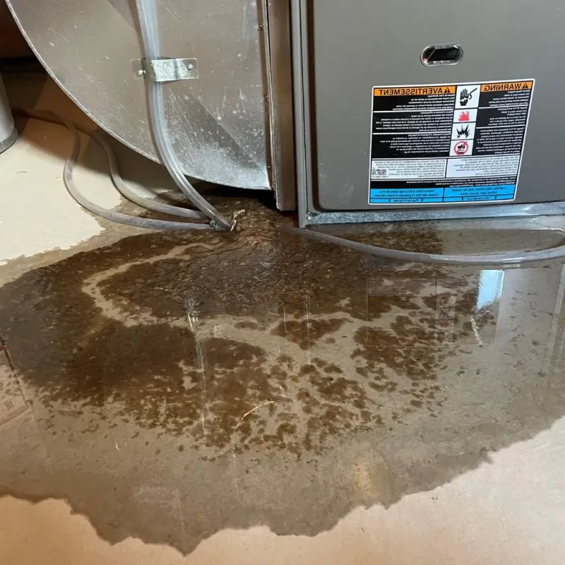Pipe Burst and Leak Restoration in North College Hill, OH