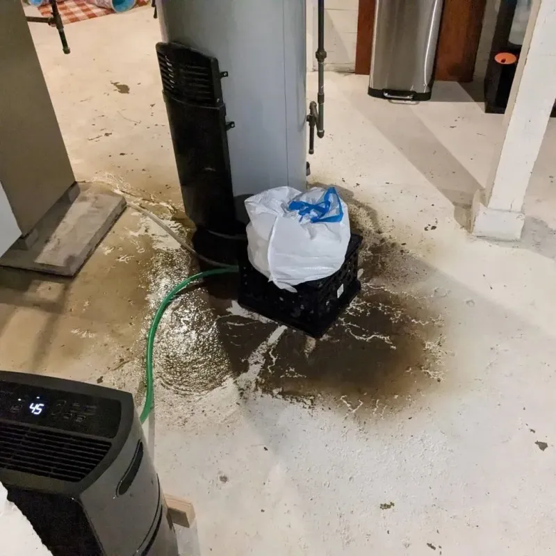 Sewage Backup Cleanup Service in North College Hill, OH